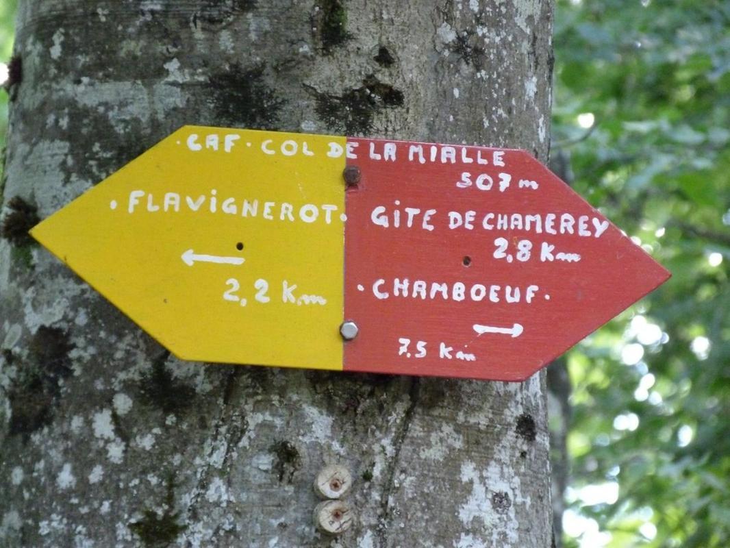 Le Flav - Charmant Appartement A 10 Mn De Dijon Flavignerot Εξωτερικό φωτογραφία